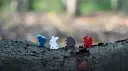 Everdell_Familiespel_NSP_SvhJ_Sfeer_2_White-Goblin-Games-scaled.webp