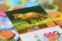 Cascadia_Familiespel_NSP_Sfeer_2_White-Goblin-Games-scaled.webp