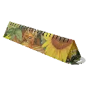 AT-21530-DS-PLAYMAT---oVaIJX0.webp