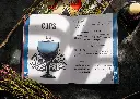 Dead-Letter-Society---Sep23---42.webp
