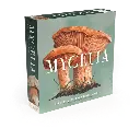 Mycelia (NL)
